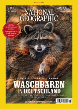 Ein Heftcover mit einem Waschbären